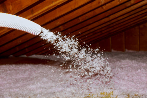 Best Spray Foam Insulation  in Ovid, MI