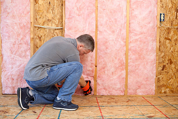 Insulation Repair Services in Ovid, MI
